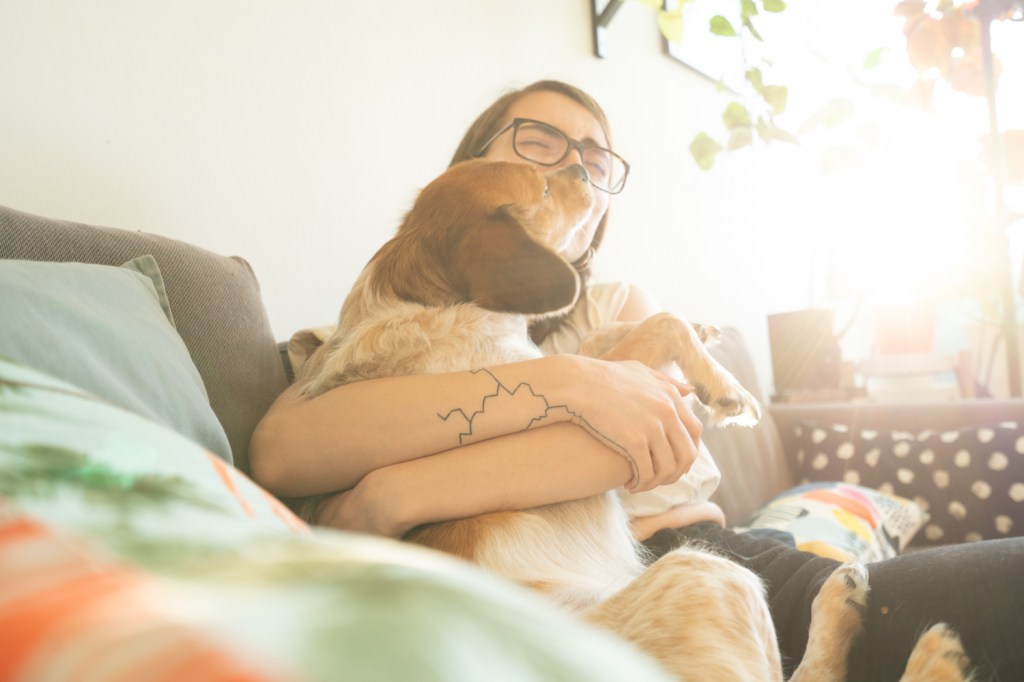 the dog's home sorina si cristina