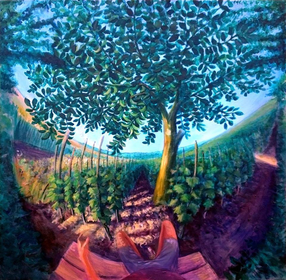 Permacultura gradina