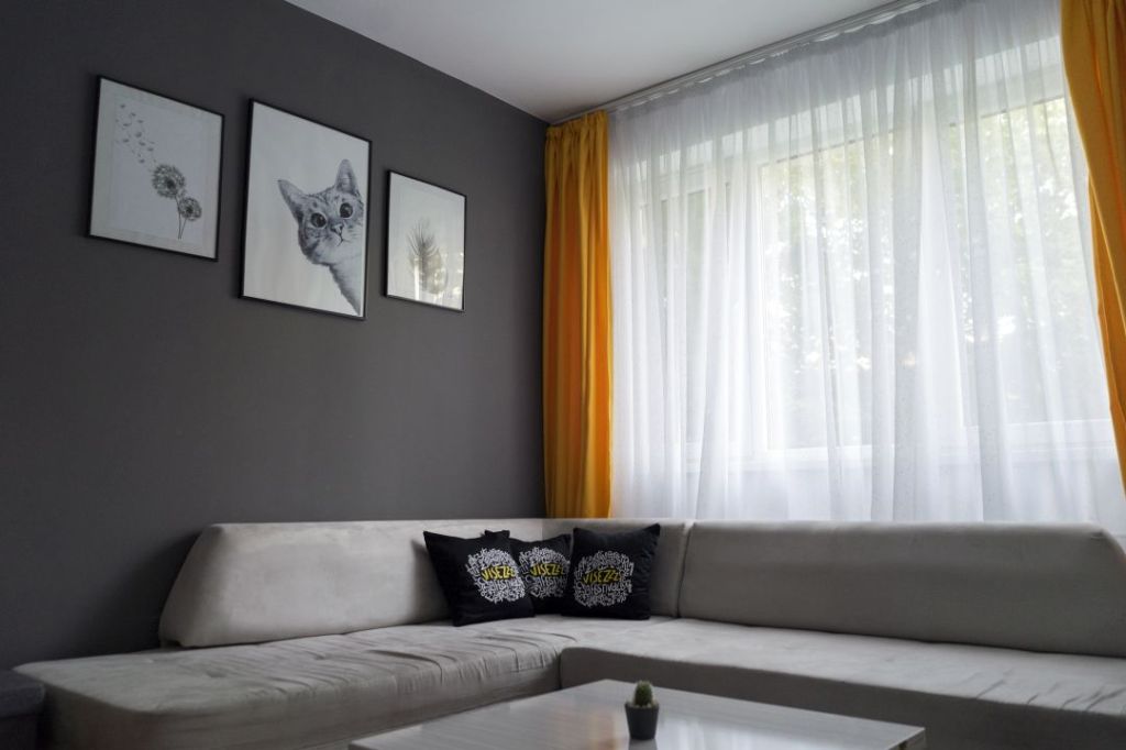 tur lovedeco andreea grecu canapea ieftina