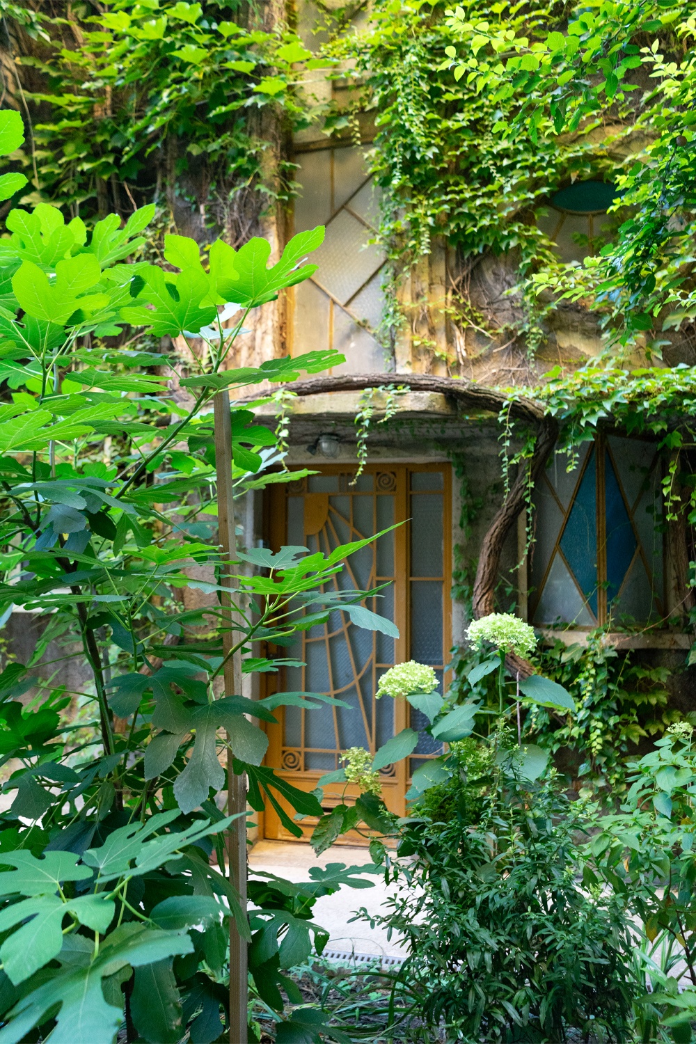 Casa Cotroceni Dinu Drog