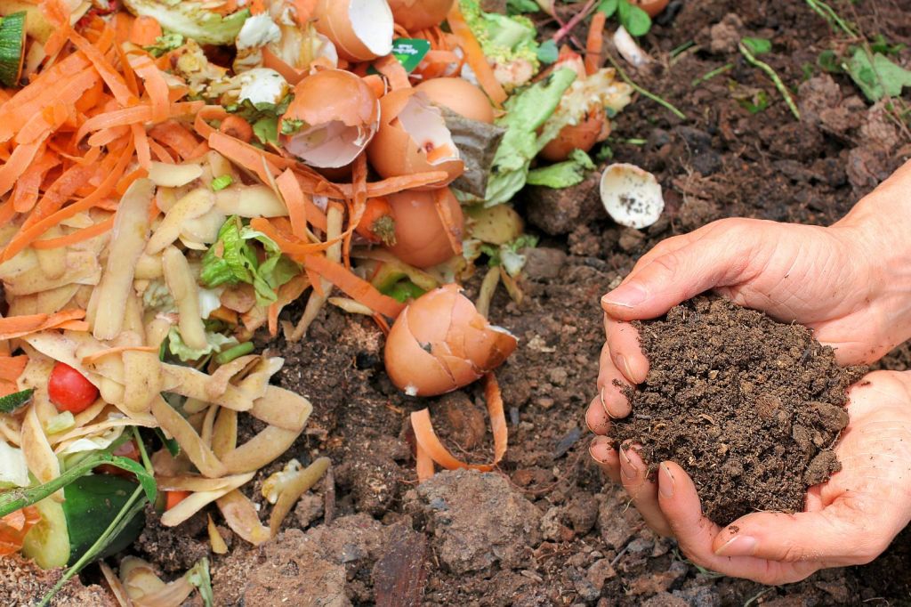Compost acasă