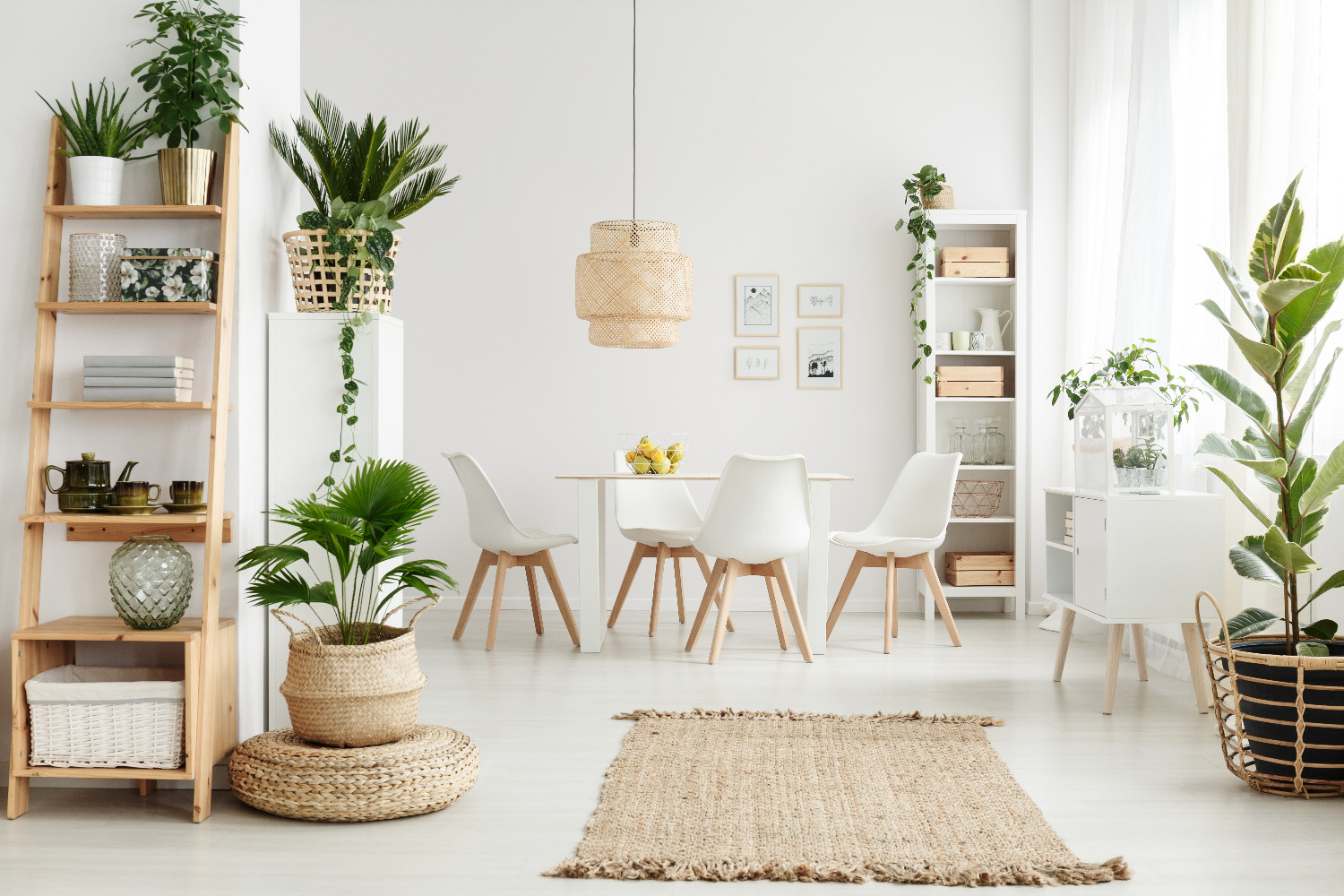 Obiecte Feng Shui plante