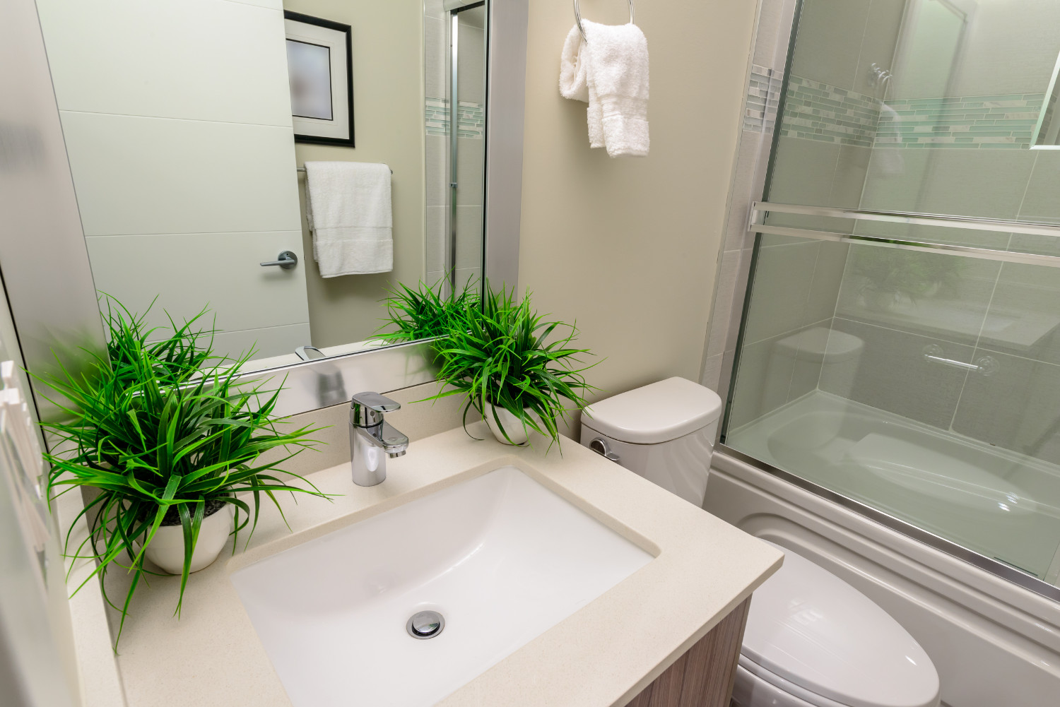 Plante baie mică spa