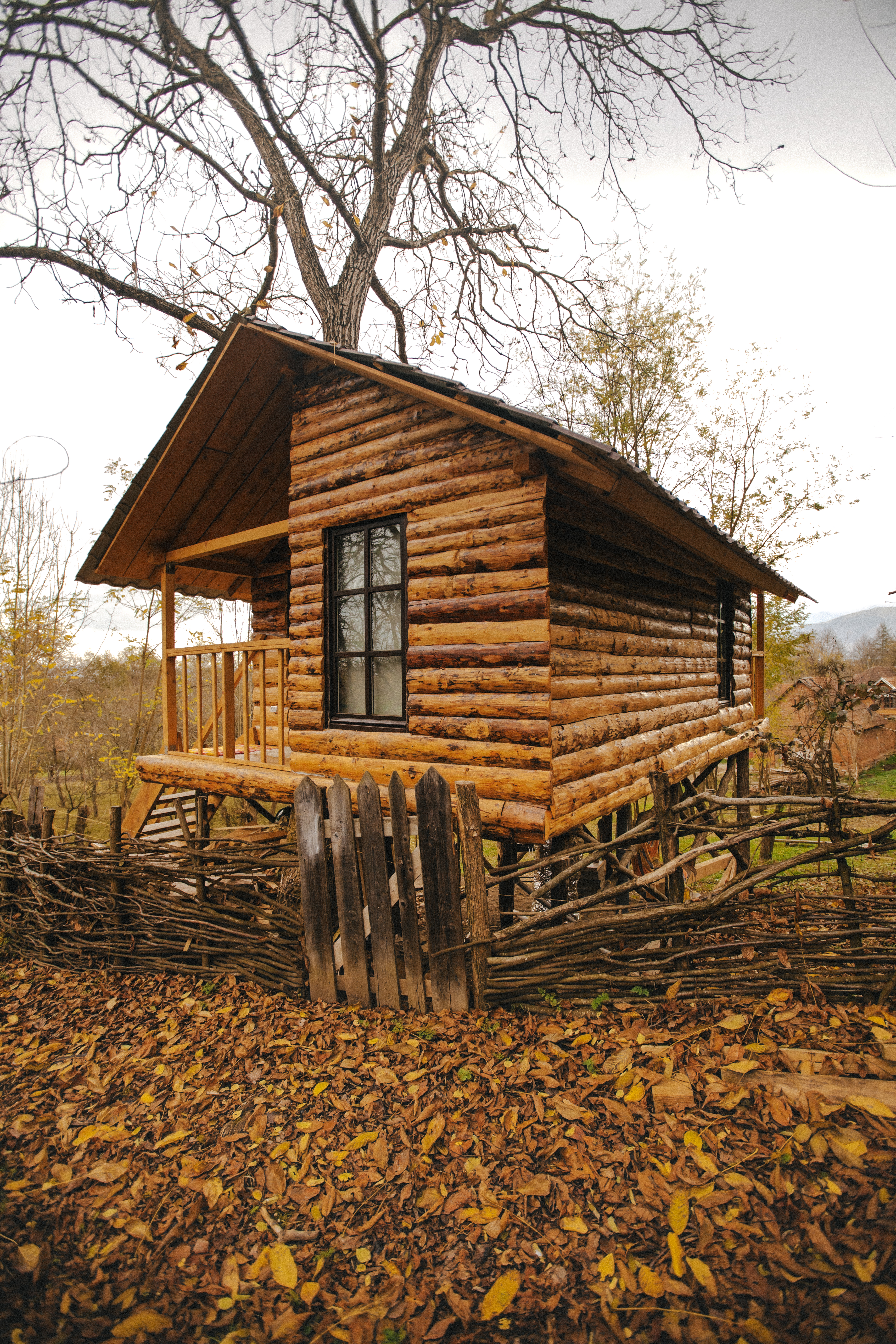 căsuța din copac