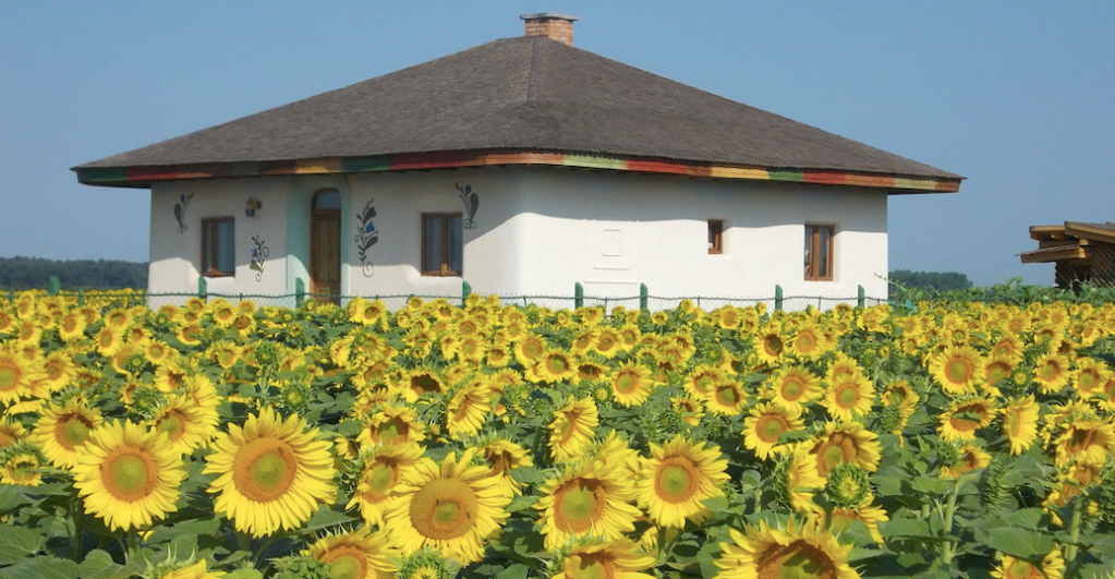 casa din chirpici floarea soarelui