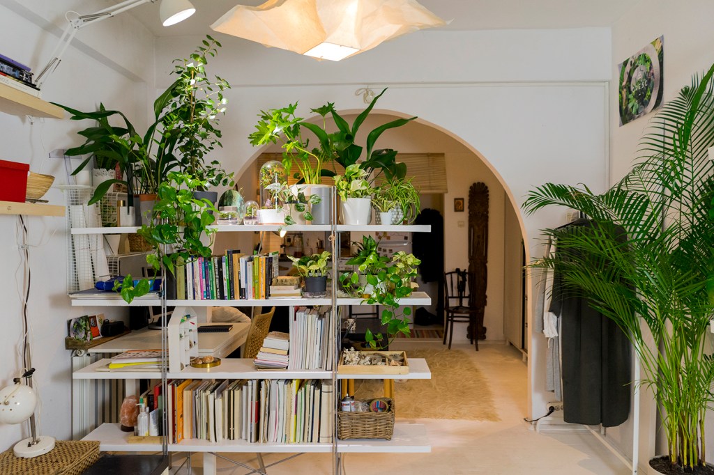 plante apartament lumini interior ana constantinescu