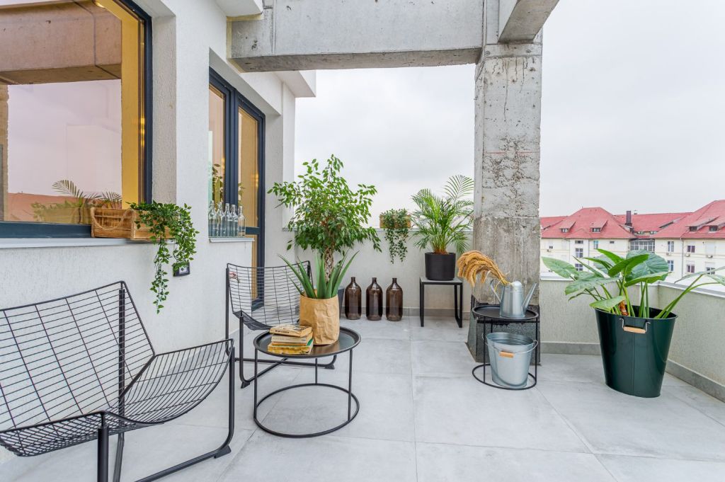Amenajare terasă ciment beton scaune metalice