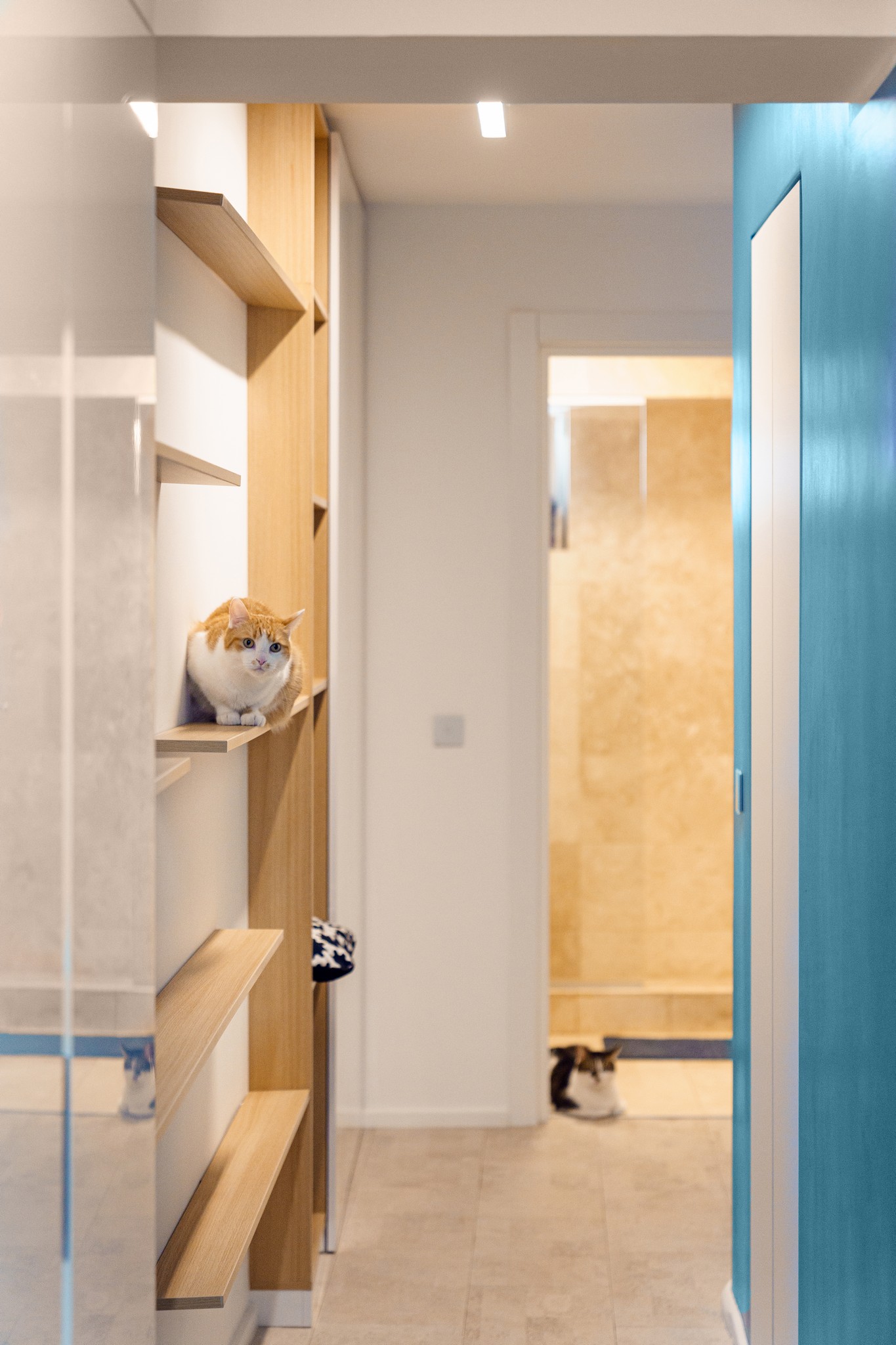 amenajare apartament bucuresti detaliu hol