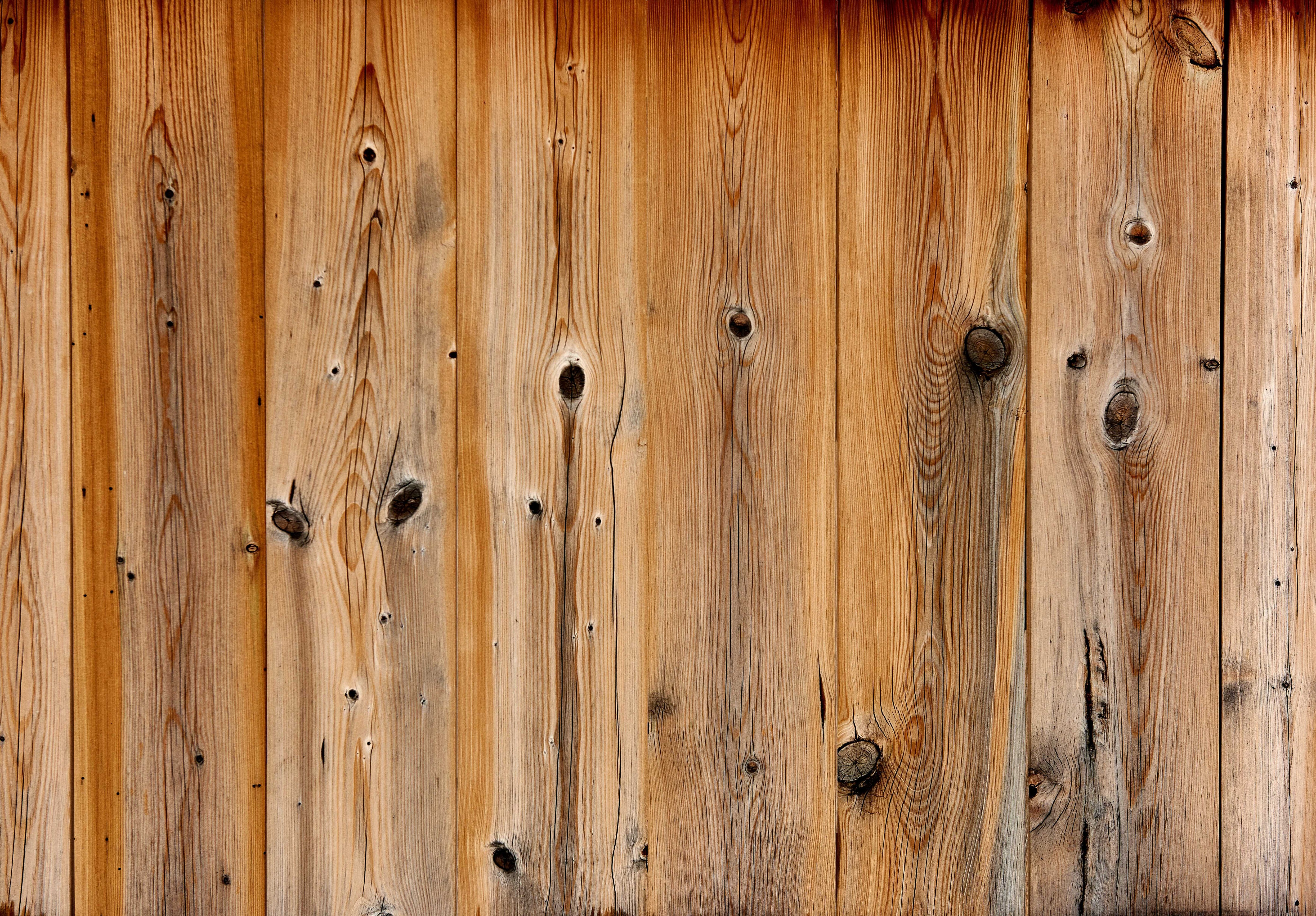 textura lemn brad
