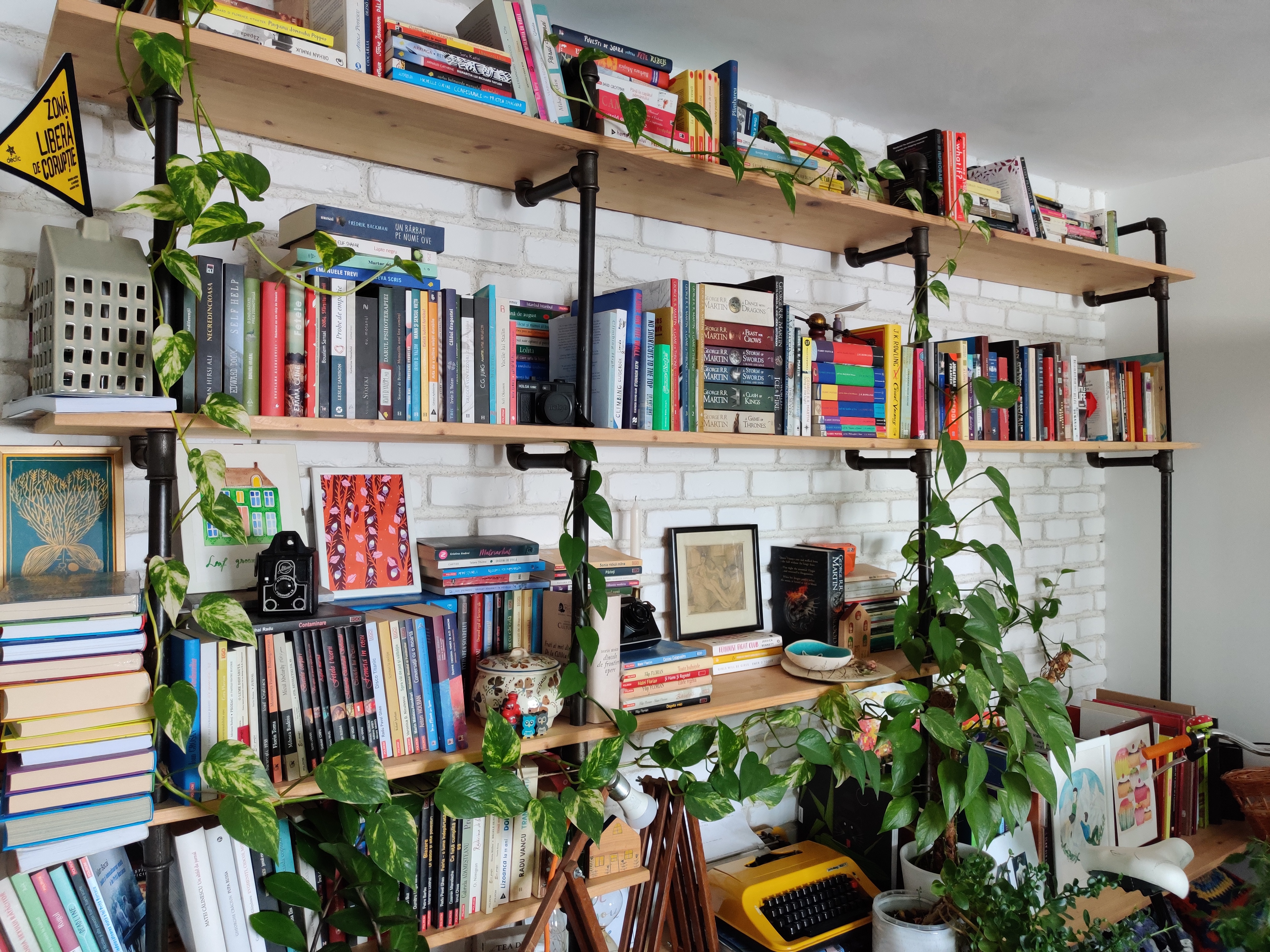multe plante