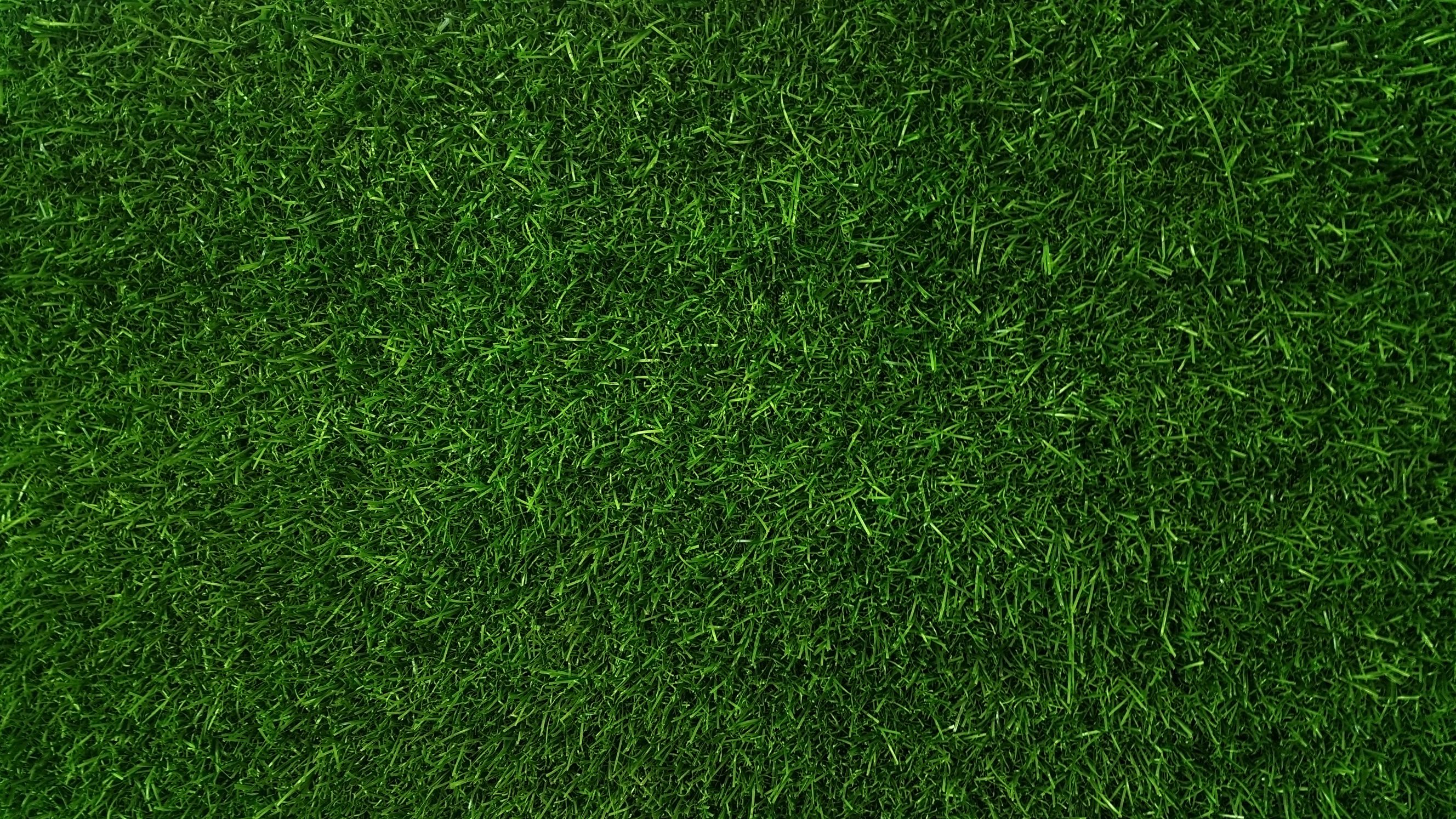 gazon verde