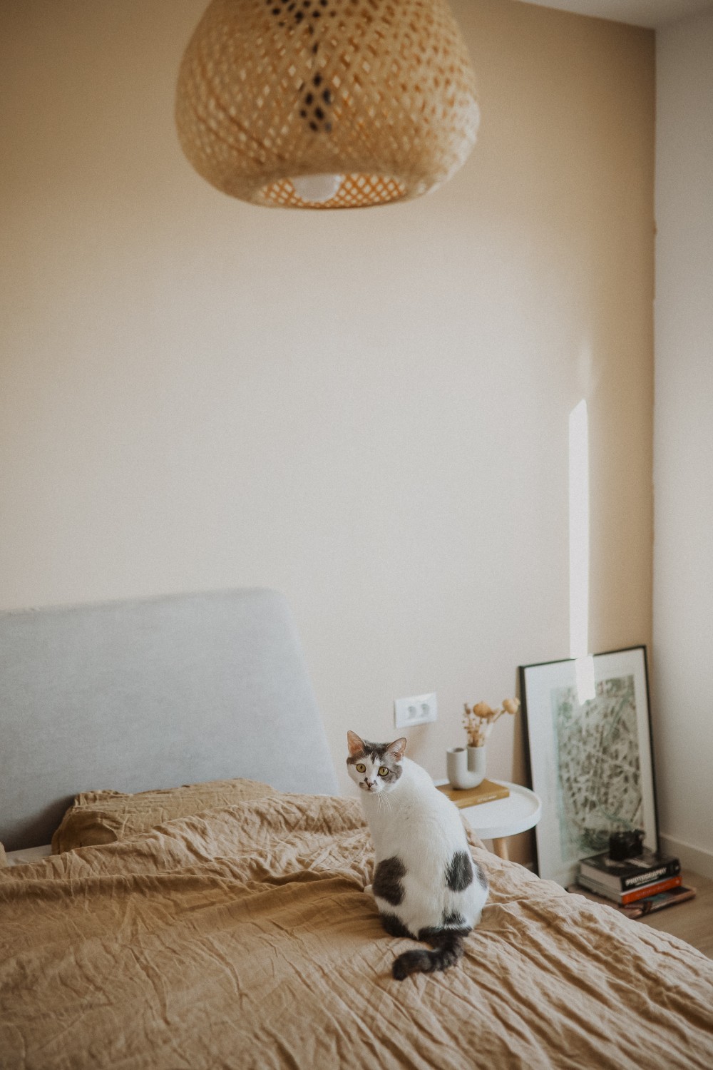 home_tour_oana_gociman_dormitor