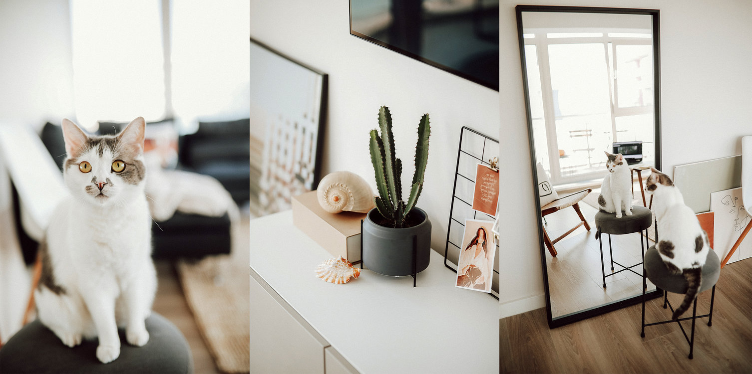 home_tour_oana_gociman_living