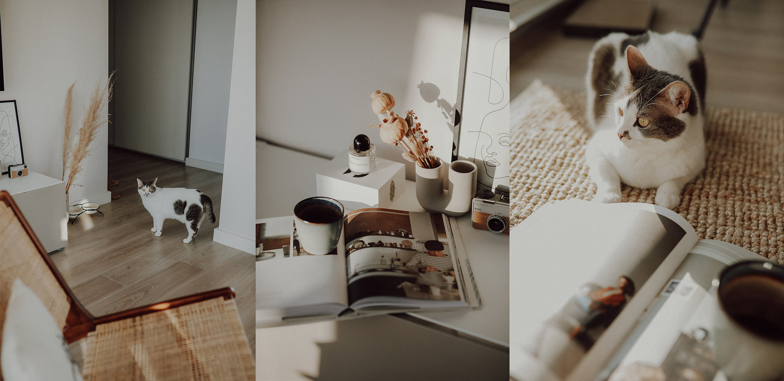 home_tour_oana_gociman