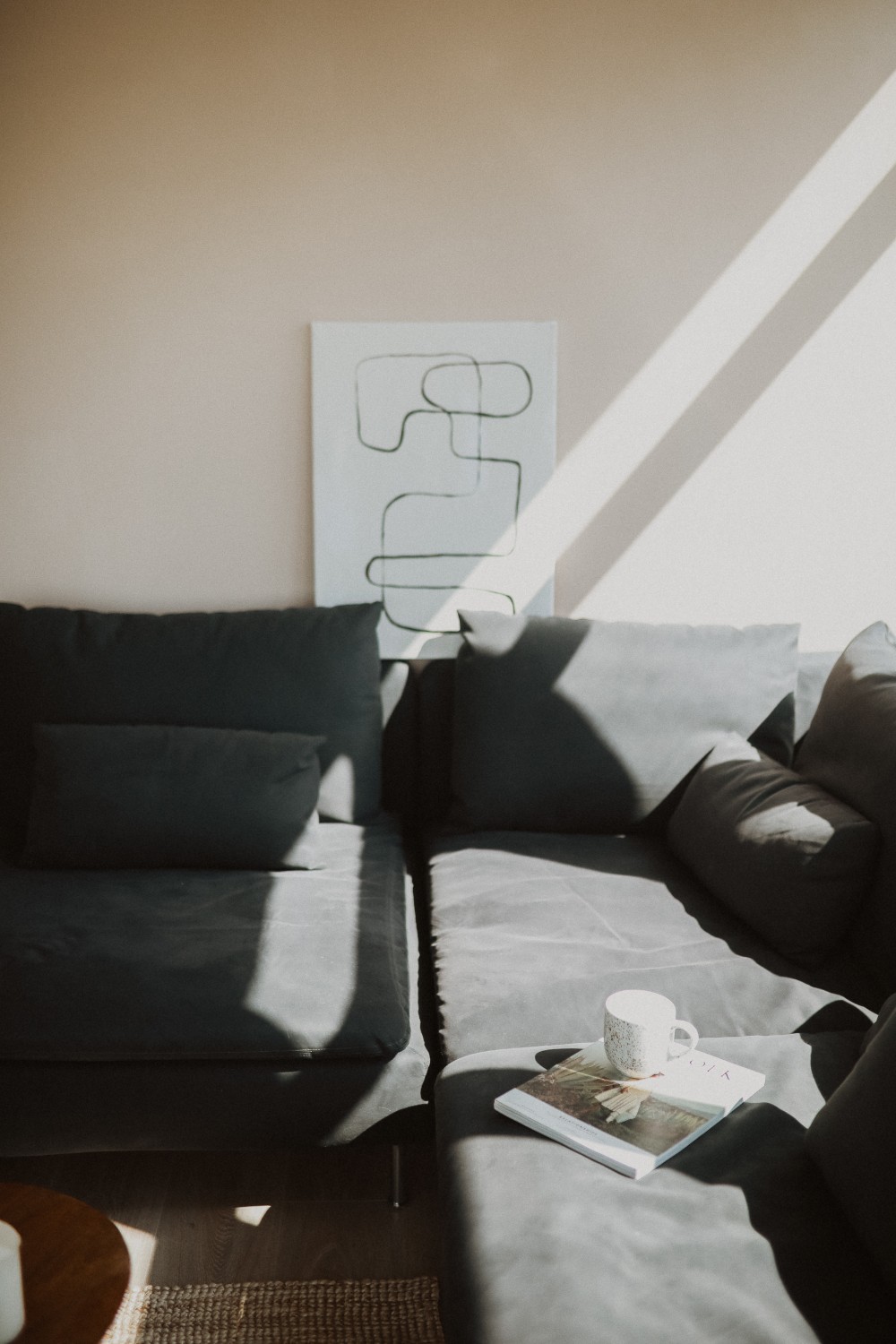 home_tour_oana_gociman_tablou