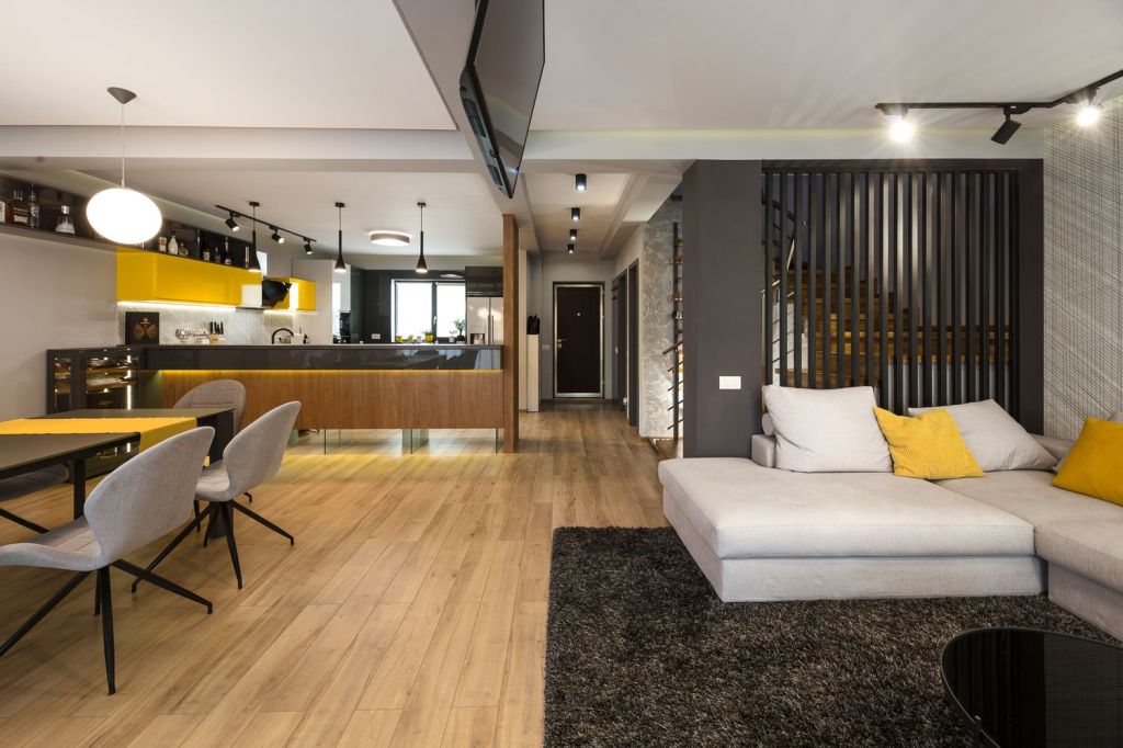 casa Ghencea open space
