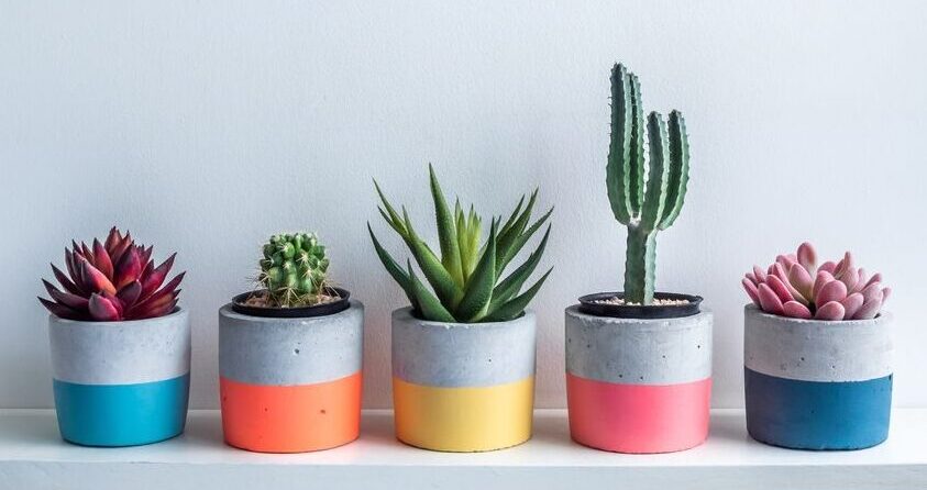 Ghivece cool DIY