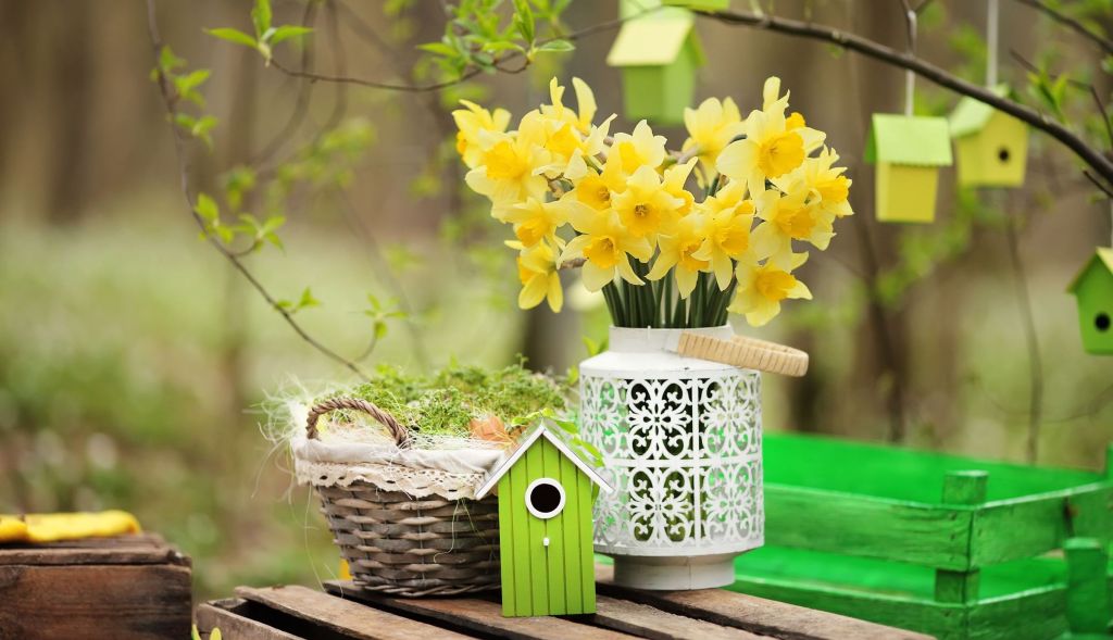 decoratiuni gradina si terasa 2