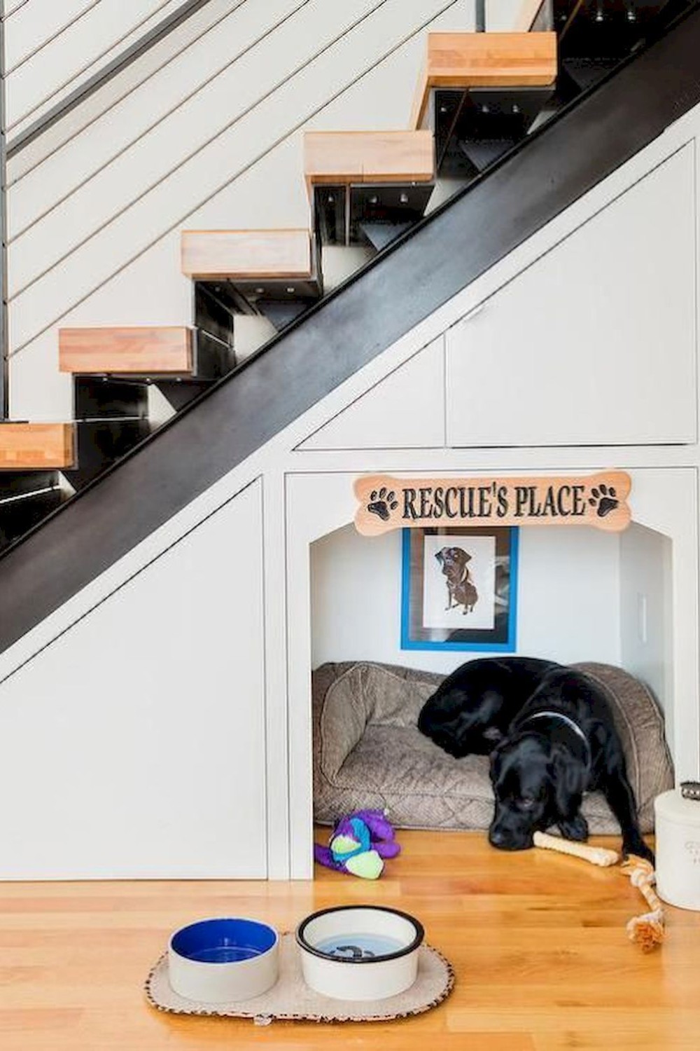 spatiu sub scari - animale