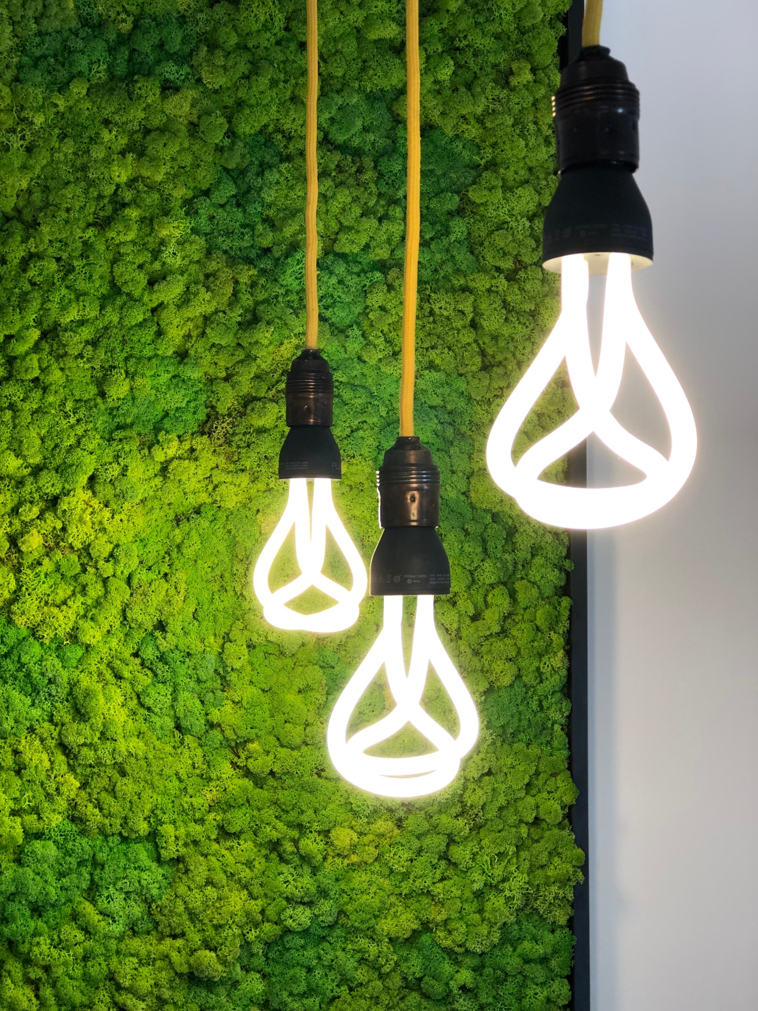 Trei becuri suspendate fluorescente de la Plumen.