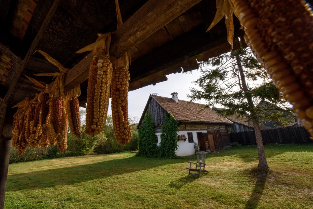 Casele de oaspeți ale Contelui Kálnoky din Micloșoara