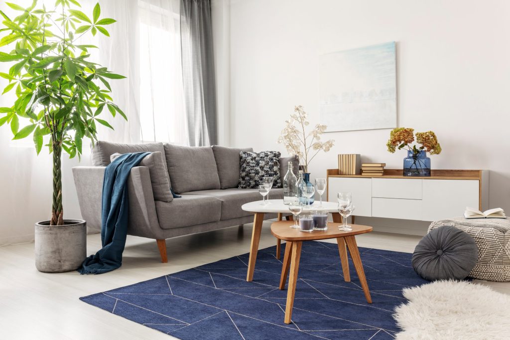 covorul potrivit pentru living