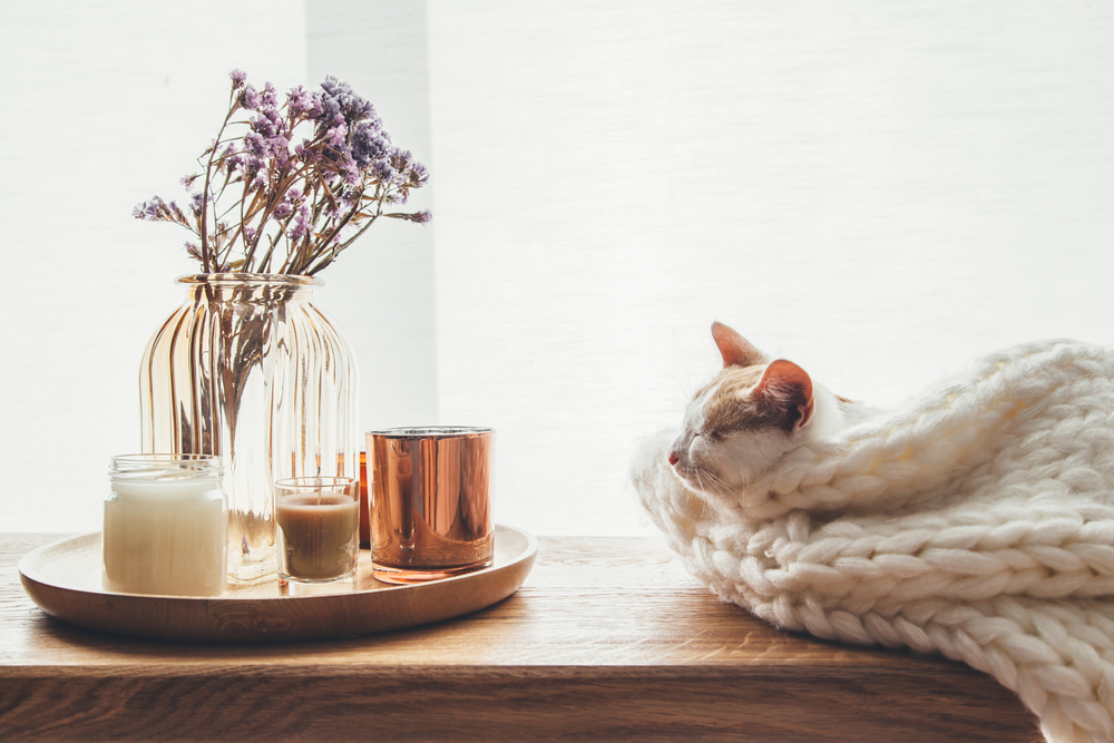 hygge storia
