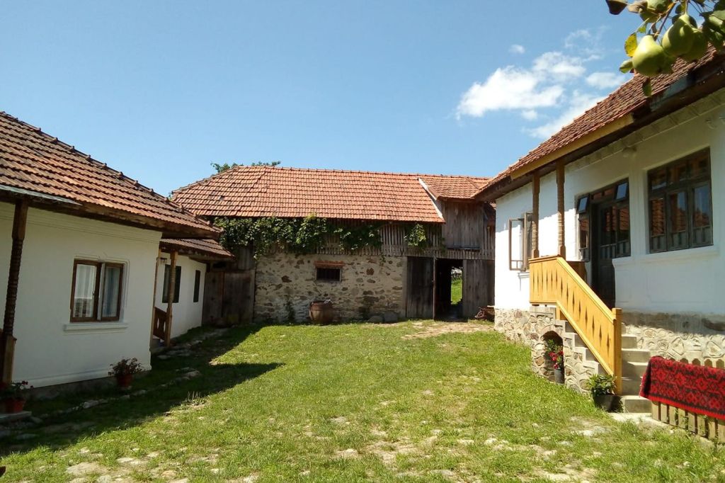 carantină