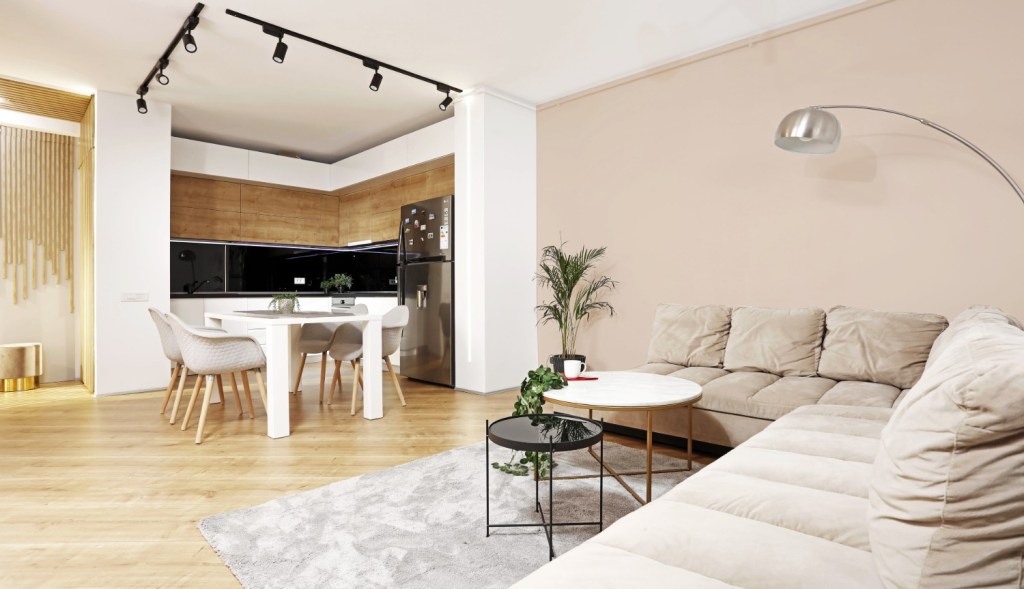 Living cromatica neutra designer Cristian Patrascu (3)
