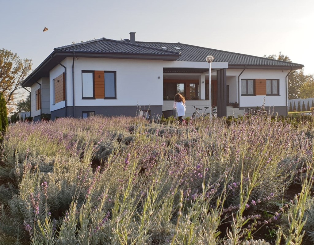 Casa cu gradina - arhitectura Alfa Invest (1)
