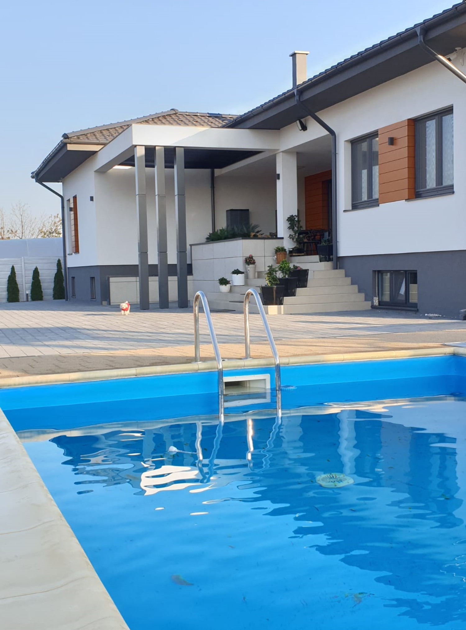 Casa cu gradina - arhitectura Alfa Invest (1)