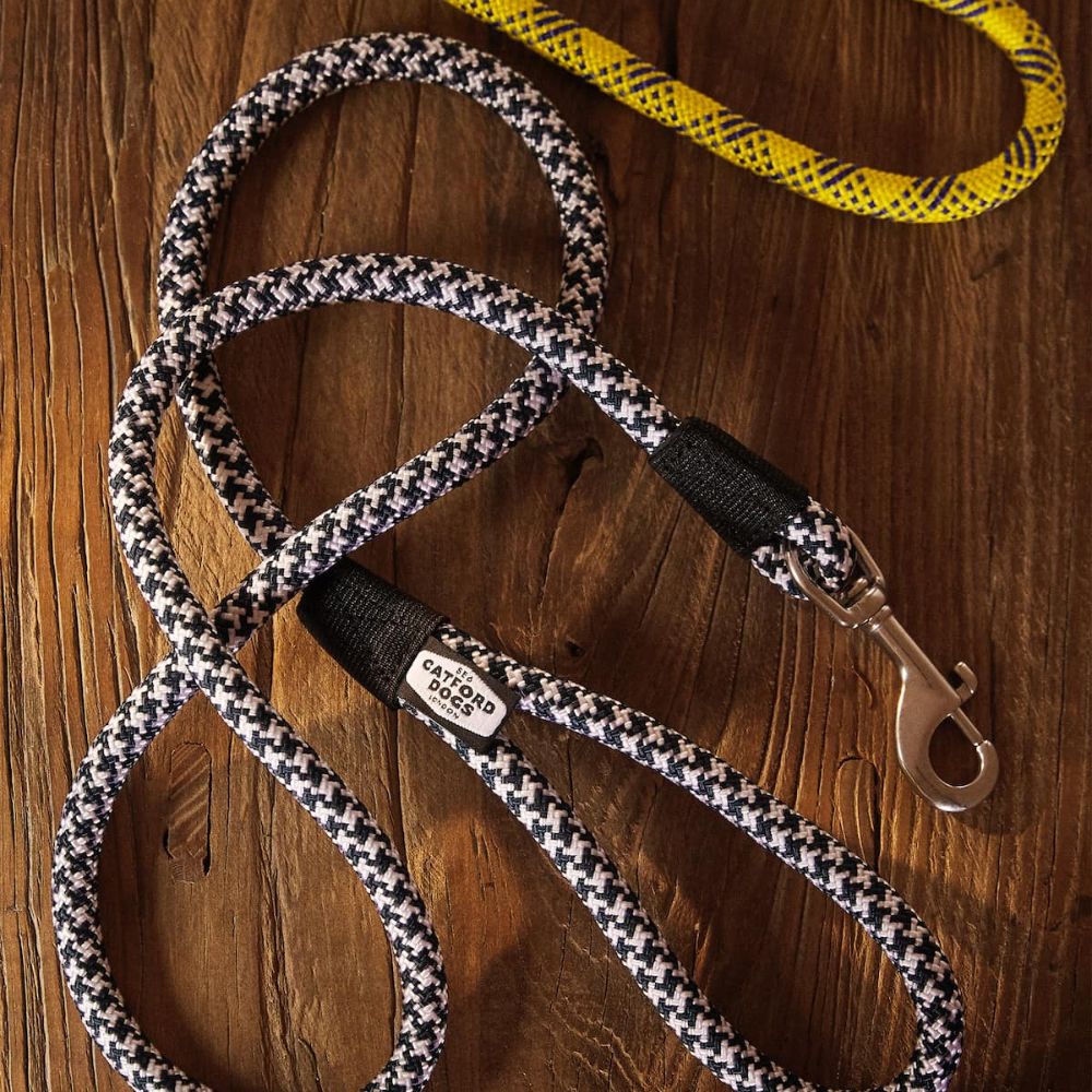 accesorii_pentru_câini_lesă_ZARA_Home