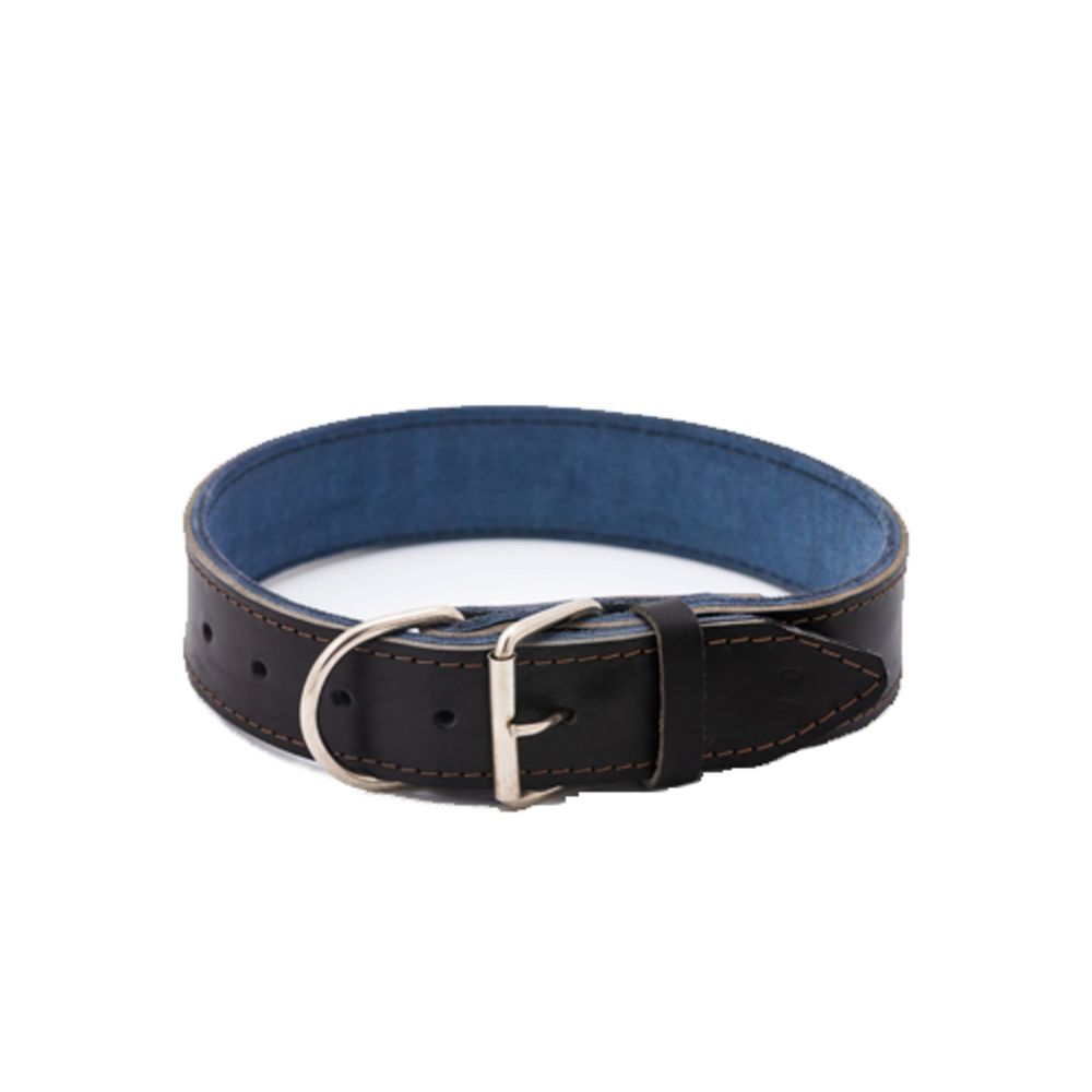 accesorii_pentru_câini_zgardă_talie_mare_animaland