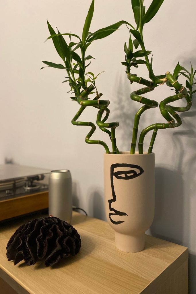 decoratiuni living bambus
