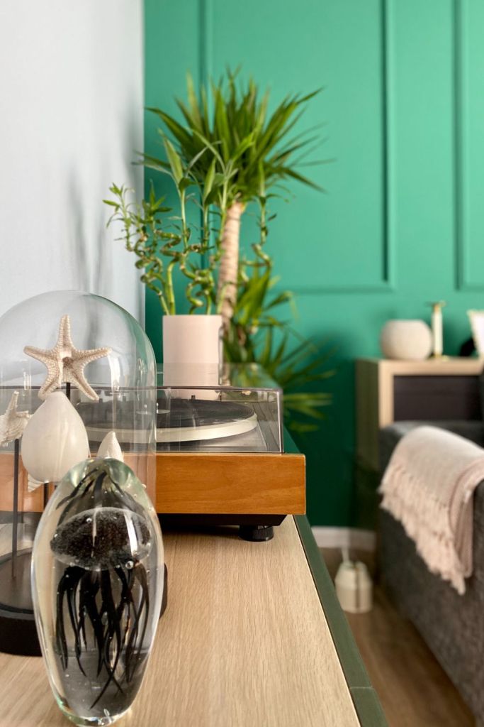plante living perete verde