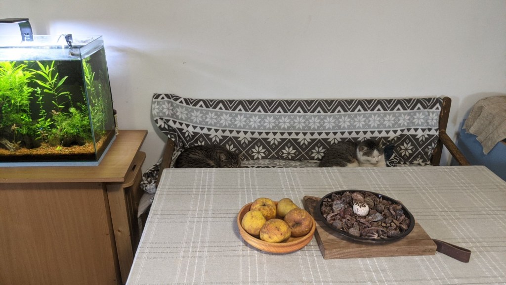 Paul se ocupă de animale