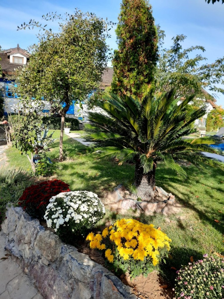 Sanda a reconstruit complet curtea căsuței