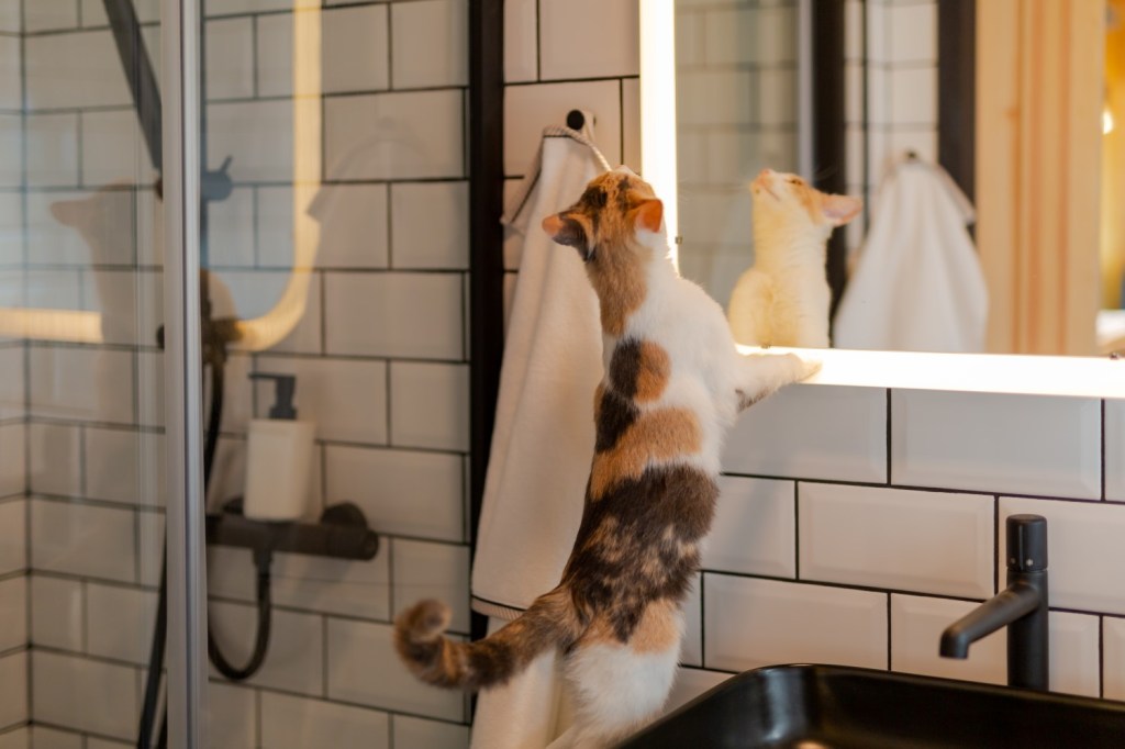 Detalii smarthome - Tiny Hubs