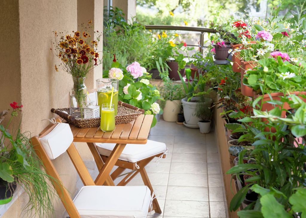 flori pentru balcon