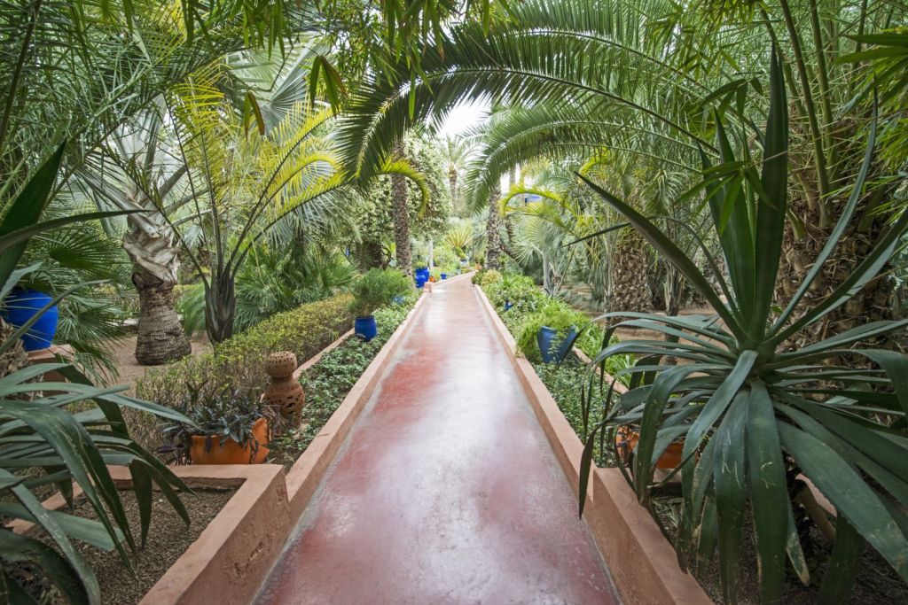 gradina majjorelle marrakech