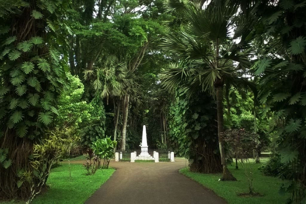gradini de vis mauritius