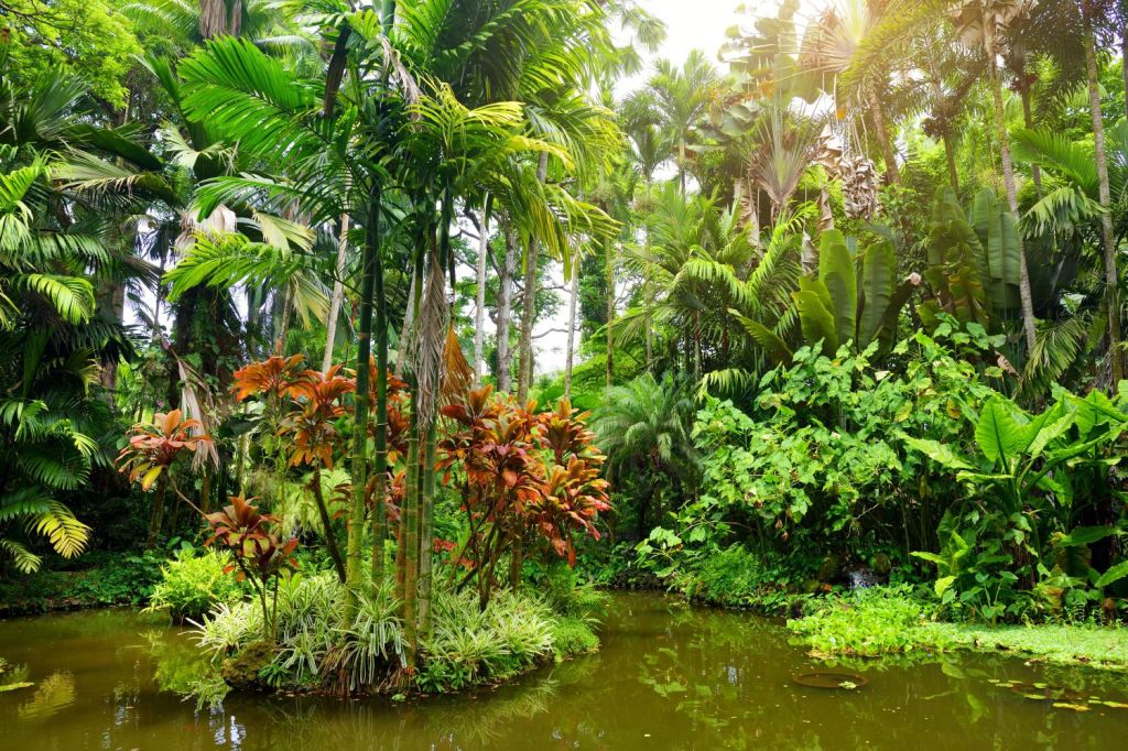 gradina hawaii