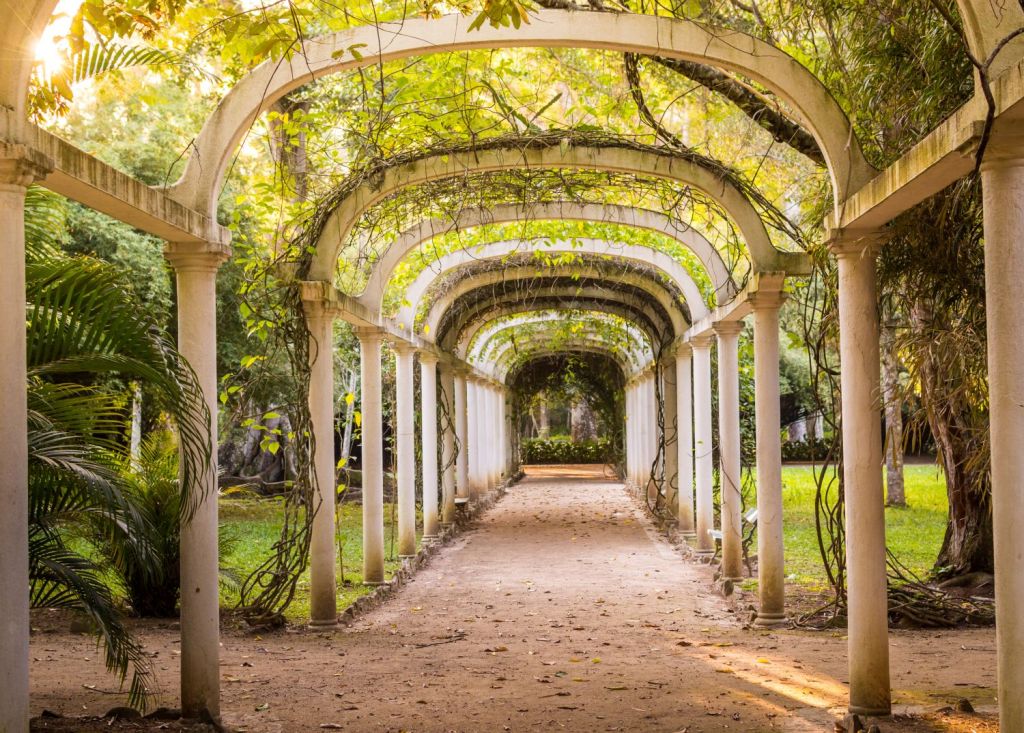 gradina botanica rio de janeiro
