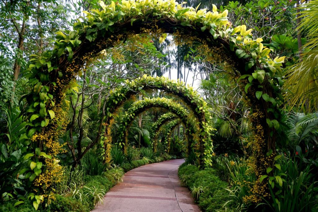gradini botanice singapore