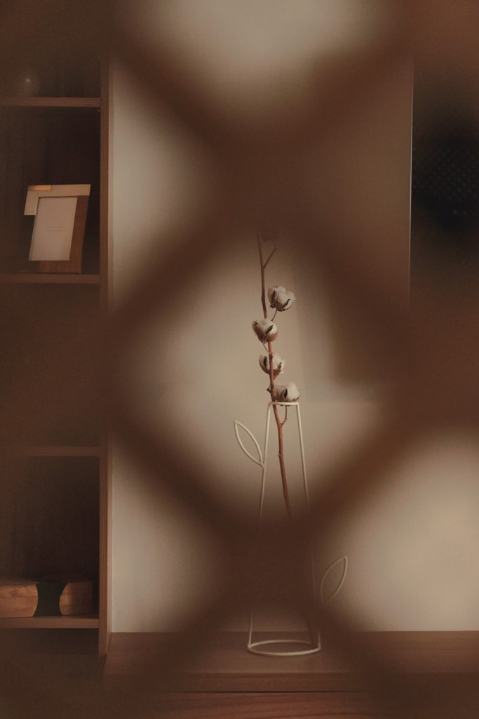stil contemporan - naidin interiors 6
