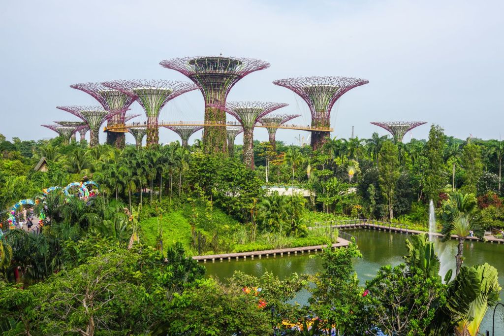 gradini de vis singapore