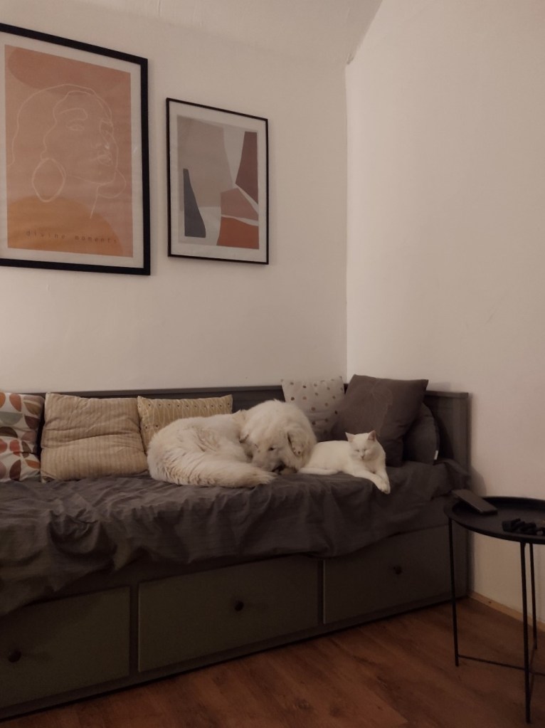 tiny house Iași Constantin și iubita lui s-au ocupat de designul casei, cu mobila de la IKEA și JYSK