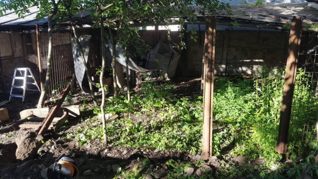 Mirela și Alex au renovat singuri 1300 de metri pătrați de curte