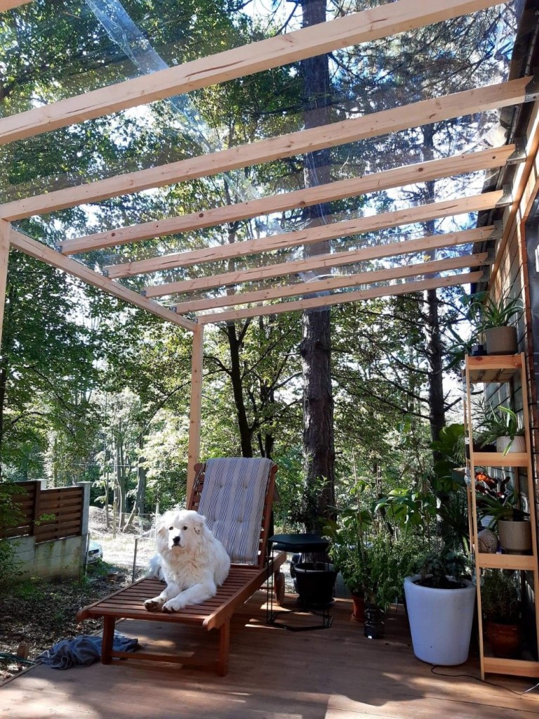 Constantin și iubita lui împart spațiul cu doi câini și o pisică