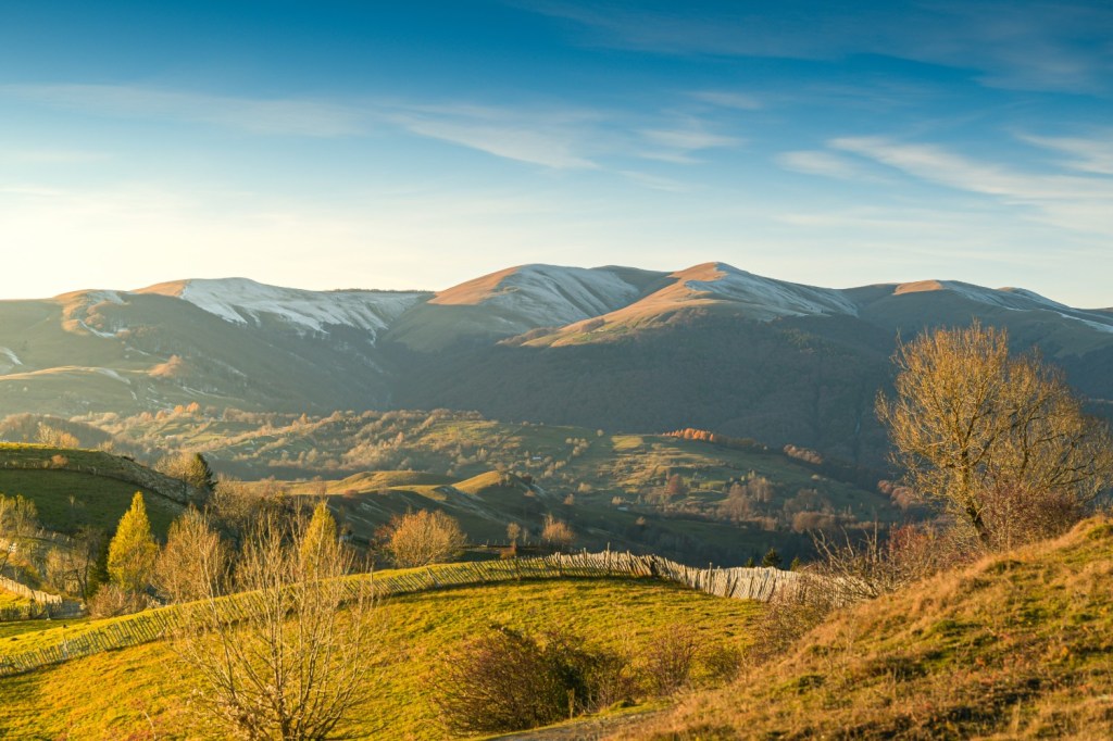 secaria doftana